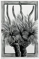 GRASS TREES (2006)
