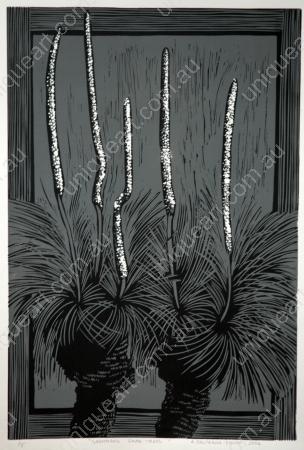 GRAMPIANS GRASS TREES