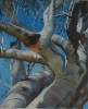 Entwined Repose