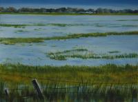 Flooded Crop (0)