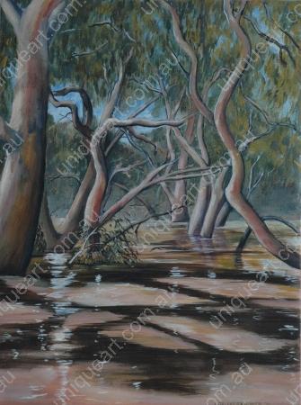 Flooded River