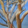 Natural Beauty (2014)