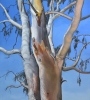 At Dimboola (2014)