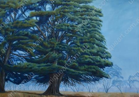 Pine Trees at Minimay